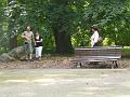 Arboretum 37